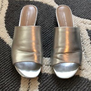 ‼️Silver Slides‼️